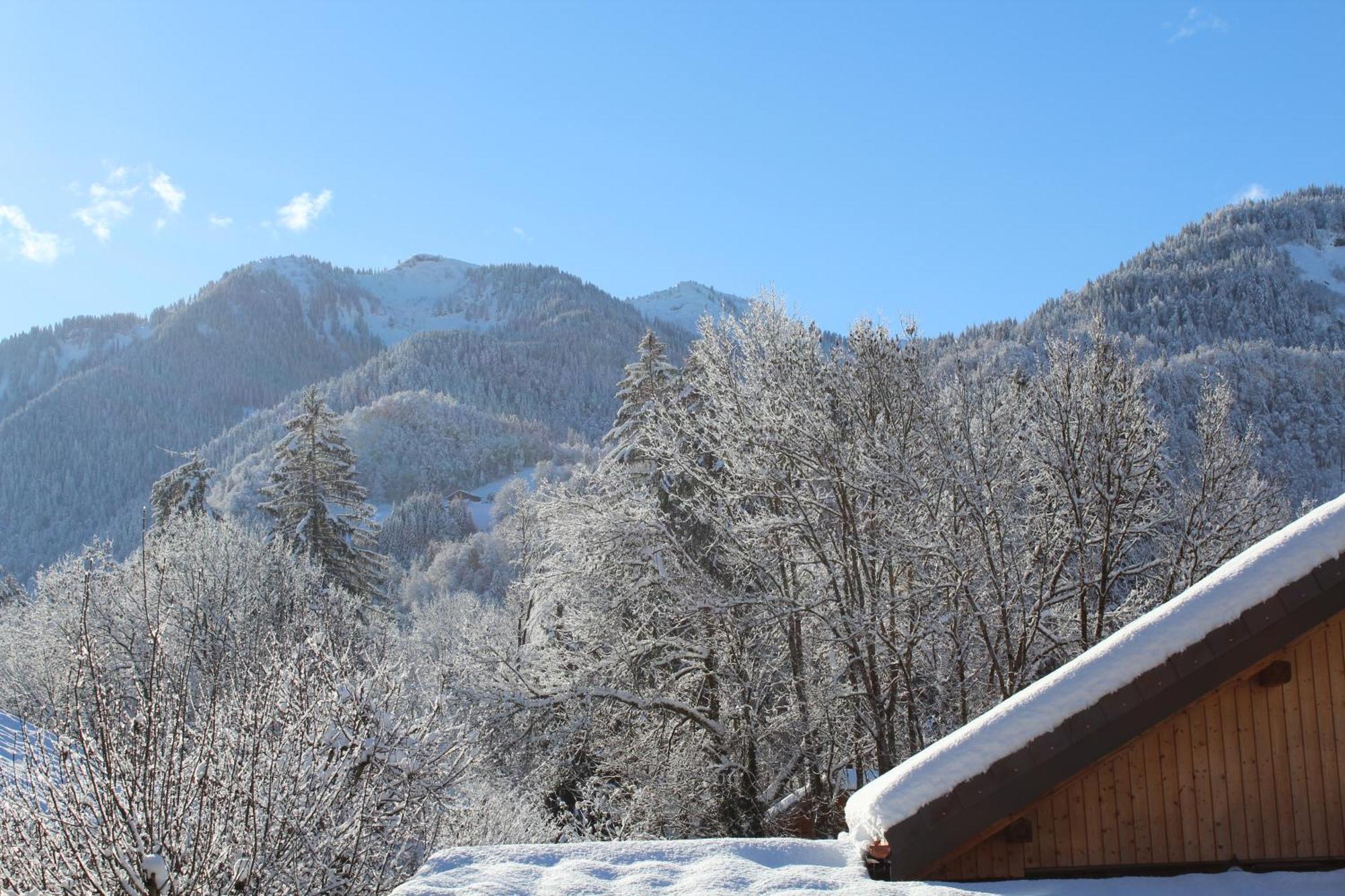 Multi Residences Samoëns Eksteriør billede